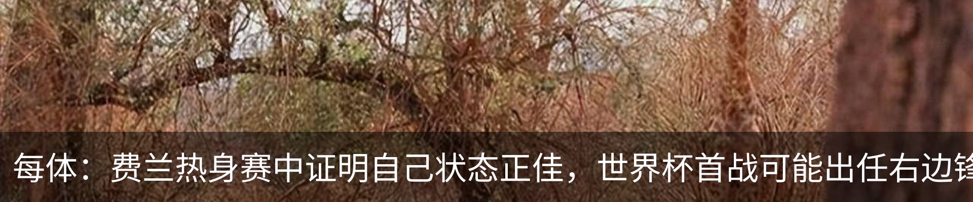 资讯中心