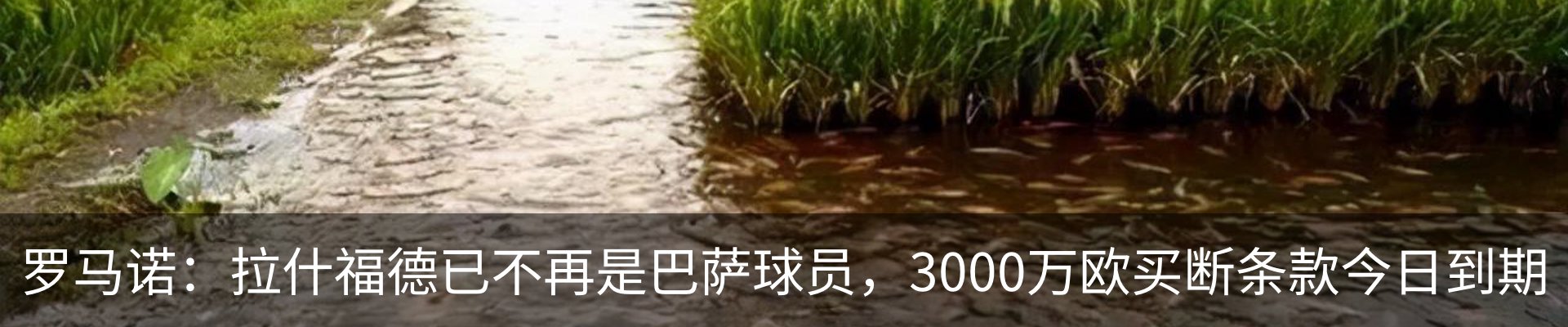 资讯中心