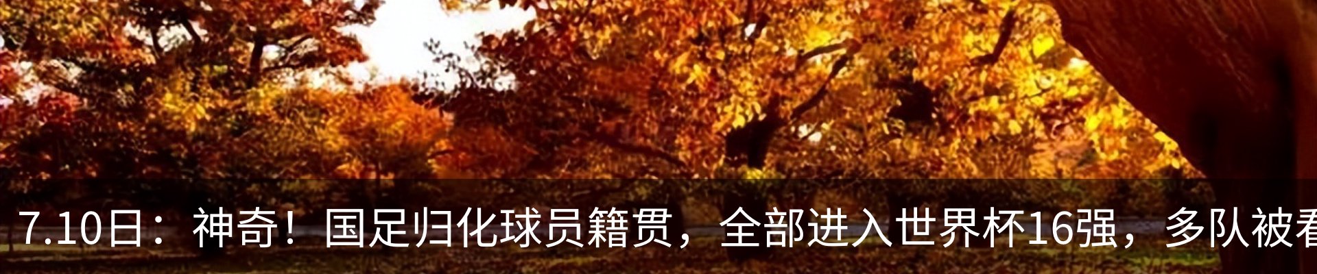 资讯中心